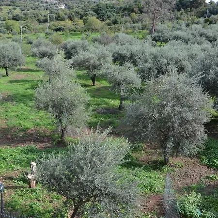 Tiberio San Mauro Castelverde