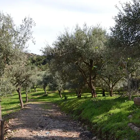 Tiberio San Mauro Castelverde