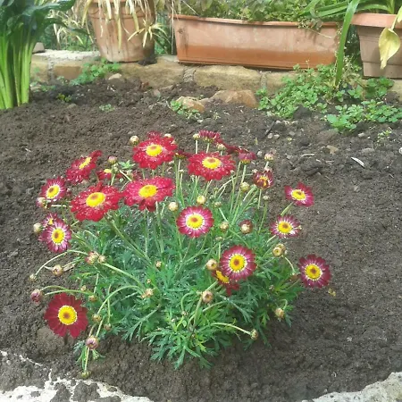 Tiberio Alloggio per agriturismo