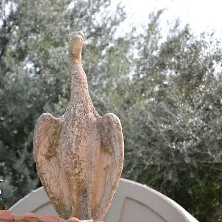 Tiberio * San Mauro Castelverde