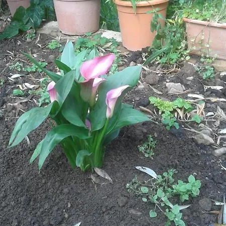 Tiberio Alloggio per agriturismo *